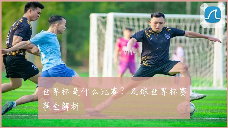 世界杯是什么比赛?足球世界杯赛事全解析