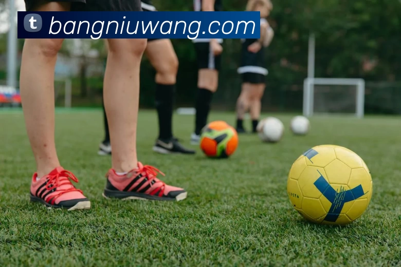 mksport体育app - mksports官方网站入口平台生态图